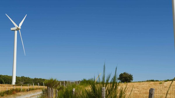 Energie et climat : Les défis et les solutions pour les protéger